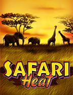 วิธีเล่น Sakura Fortune Slot เกมยอดฮิตจาก PG Soft